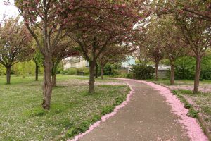 Parc des Beaumont - Caroline Freslon
